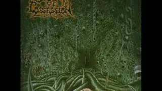 Spawn Of Possession - Swarm Of The Formless
