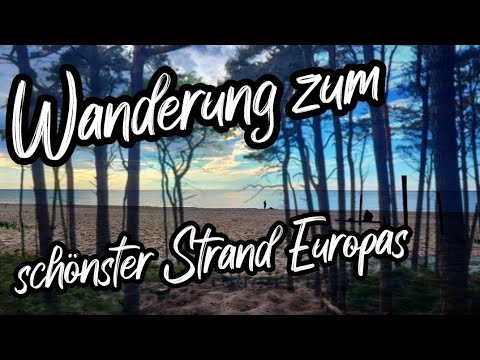 Der wilde Weststrand | Wandern in Fischland-Darß-Zingst | Ostsee | Wanderung | Nationalpark