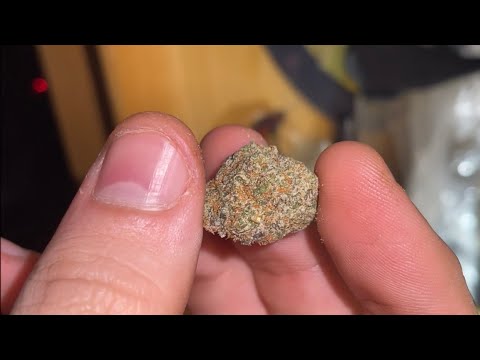 Chilled Cherries Strain