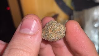 Chilled Cherries Strain Review Ft. Lucid