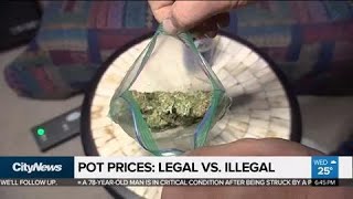 Pot prices: legal vs. illegal