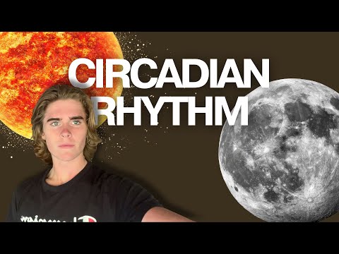 Reset Your Circadian Rhythm