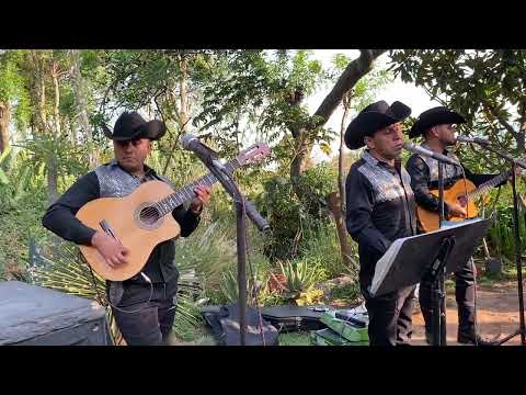 Cielo de Estrellas - Comando De La Sierra