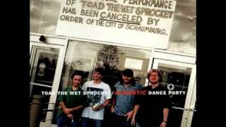 Toad The Wet Sprocket -Something&#39;s Always Wrong (acoustic)