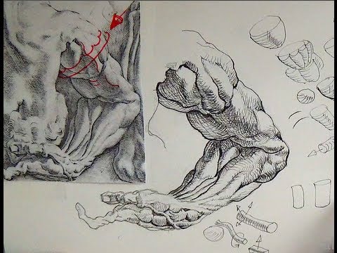 Pen Ink Drawing Tutorials | How to draw an arm like Peter Paul Rubens