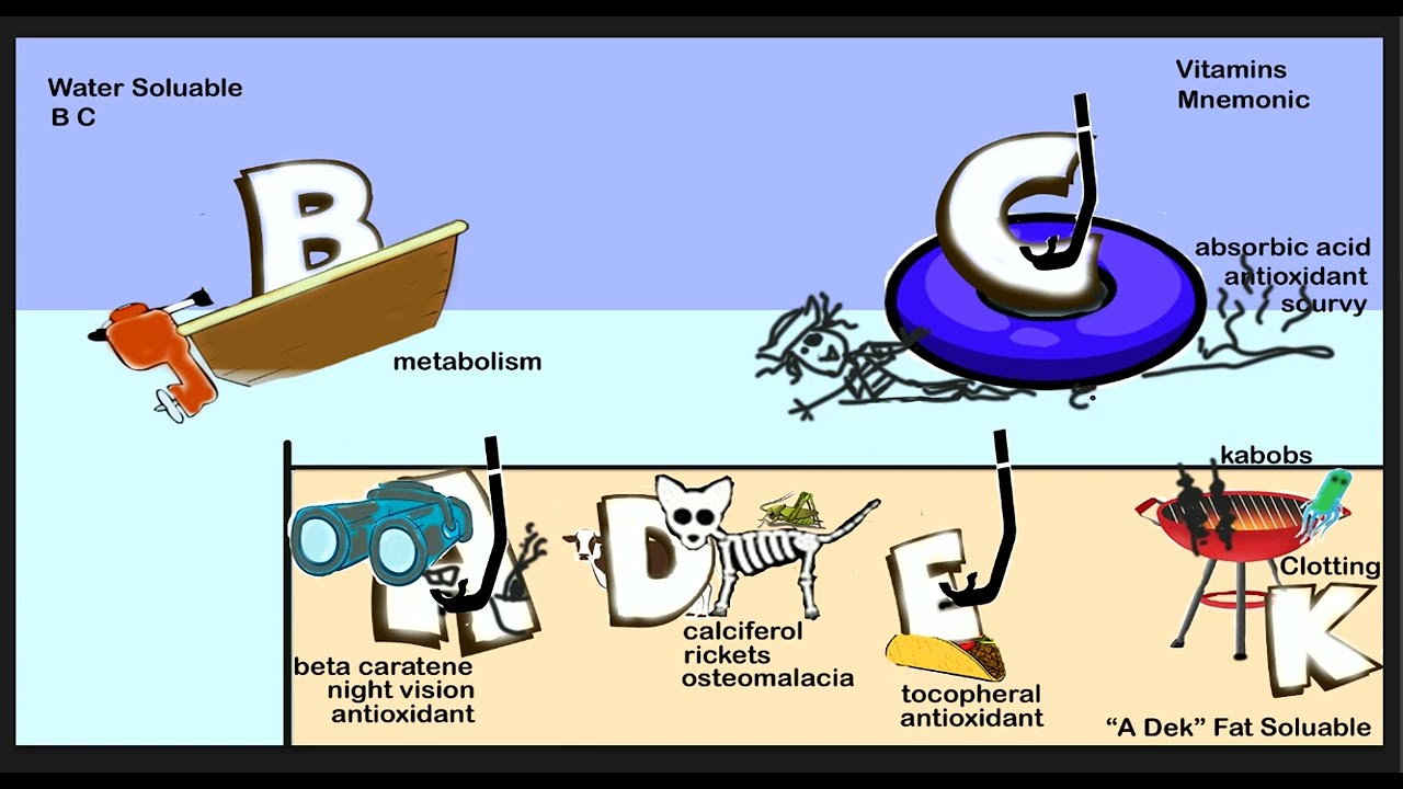 Learn for Testing Fat and Water Soluble Vitamins in one picture!