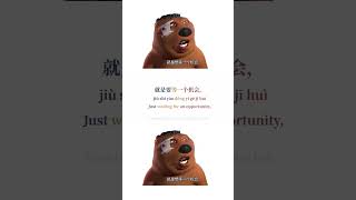 Download lagu Berang-berang Cina | Aksara Cina/Pinyin/Terjemahan Bahasa Inggris | Belajar Bahasa Cina Melalui Meme | Bahasa Mandarin mp3