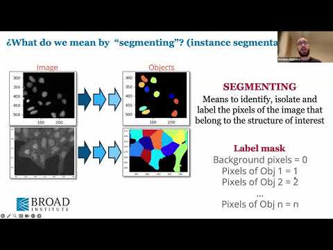 Introduction to CellProfiler: A beginner’s guide to pipelines and segmentation