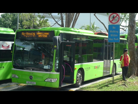 Bus Spotting at Punggol Bus Interchange