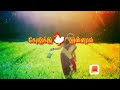 WATSAPP STATUS LOVE VIDEO SONG