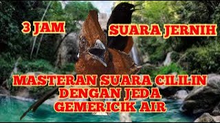 Download lagu 3 JAM FULL MASTERAN CILILIN DENGAN JEDA DAN GEMERICIK AIR mp3 Download lagu 3 JAM FULL MASTERAN CILILIN DENGAN JEDA DAN GEMERICIK AIR mp3