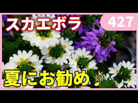 園芸 ブルーフィンガー