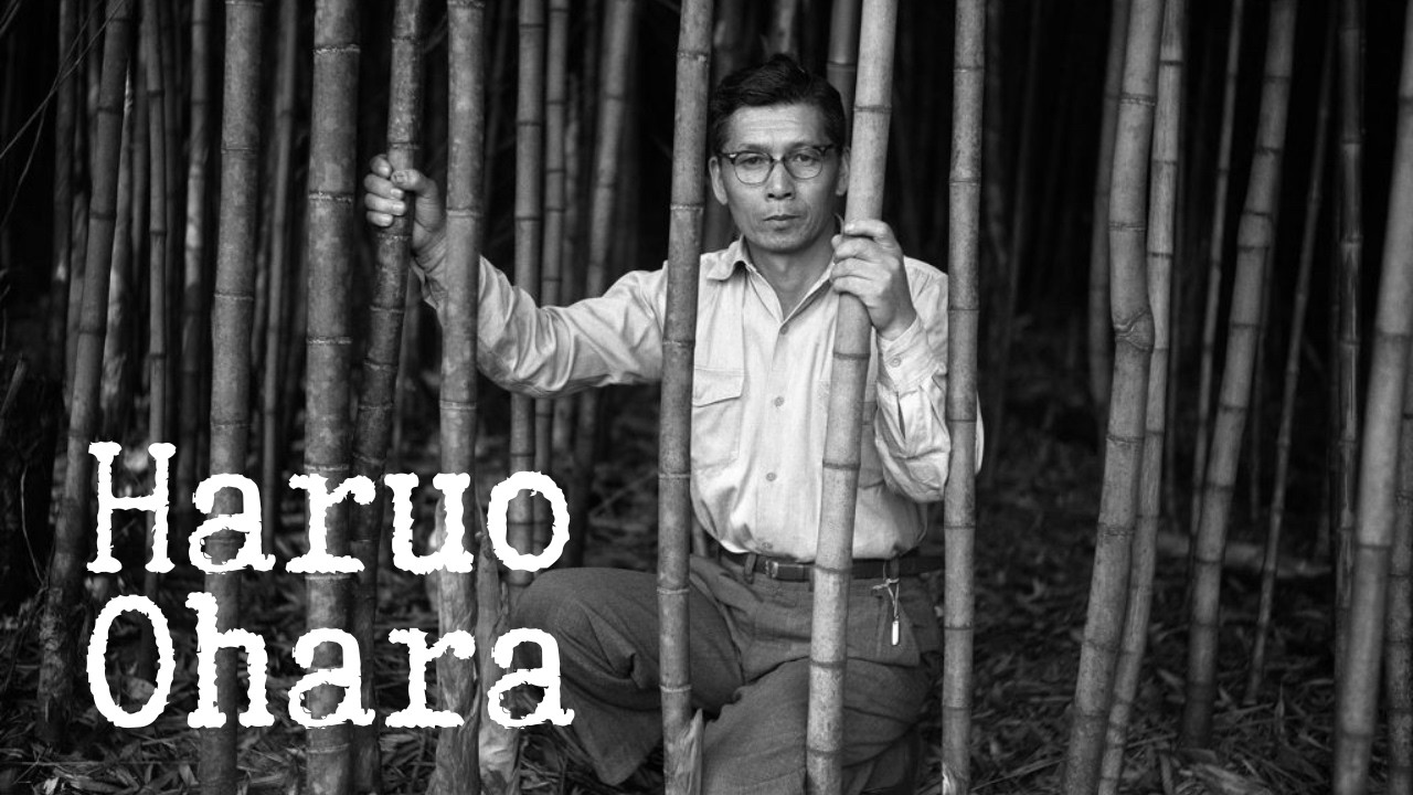 Haruo Ohara: A Fotografia como Poesia do Cotidiano
