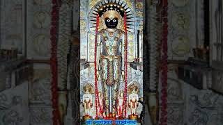 Download lagu YE JAG HAI EK MELA YAHA SE EK DI mp3 Download lagu YE JAG HAI EK MELA YAHA SE EK DI mp3