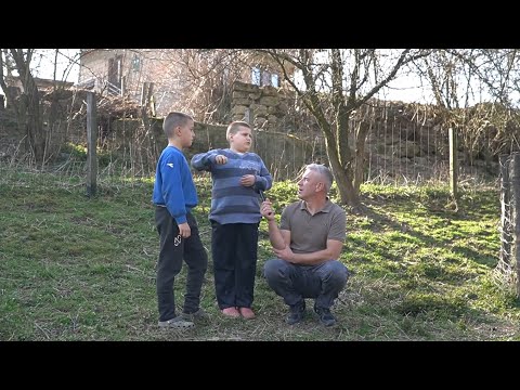 UJUTRO PRIJE ŠKOLE POMOGNEMO TATI NAHRANITI OVCE 