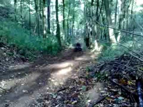 54.DEČKI  ŽUTNICE - Ja Vedran i Neven