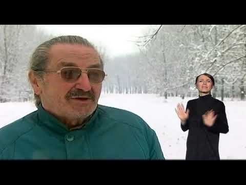 Pristupačan program: Trag - Priče sa konjskog groblja (SZJ)