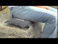 Vidéo