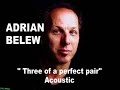 ADRIAN BELEW - "Three of a perfect pair" Acoustic