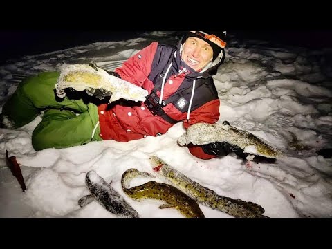 HURJA MATEEN SYÖNTI KIVIKON YMPÄRILLÄ  | PILKINTÄ | KALASTUS