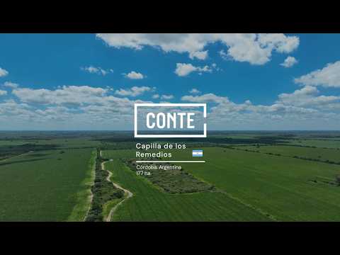 Conte - Capilla de los remedios 177 ha