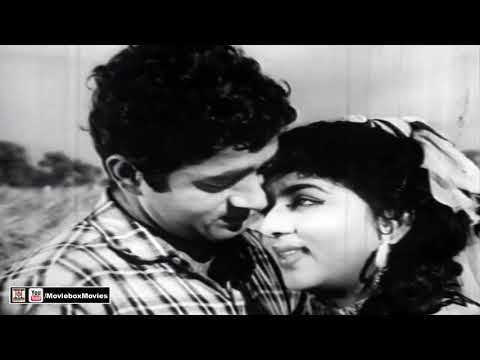 RESHAM WARGAY WAAL PARANDA LAL - NEELO & HABIB - FILM SHERA