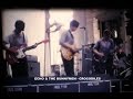 Echo & The Bunnymen - Crocodiles (Original Video)