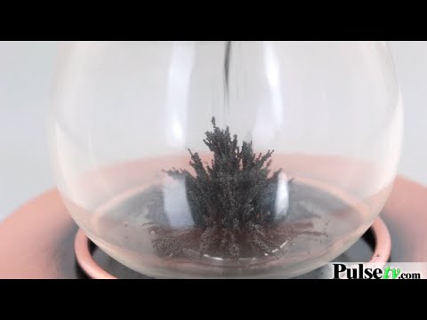 download lagu mp3 mp4 Magnetic Sand Timer Amazon, download lagu Magnetic Sand Timer Amazon gratis, unduh video klip Magnetic Sand Timer Amazon