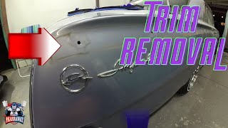 How to remove trims/moldings from your car