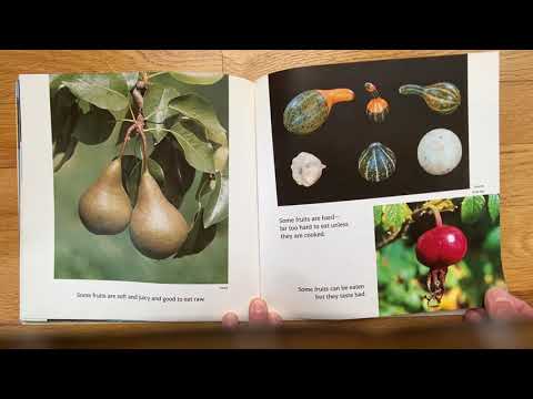Flowers,Fruits and Seeds