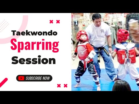 20230812 Camp Escat's Full Saturday Sparring Session Performance #taekwondo #sparring