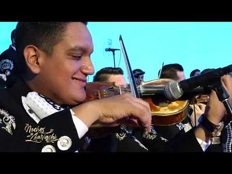 Noches de Mariachi - Mariachi Corona