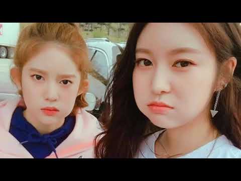 Momoland 1st Fan Meeting in MANILA! (190125)