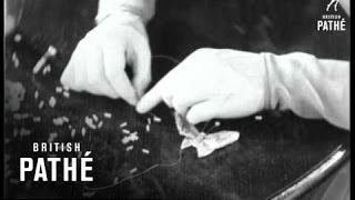 Another Novelty For Eve - Bead Butterflies (1929)