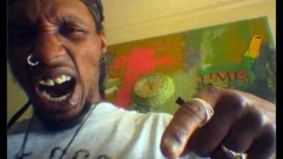 Del The Funky Homosapien- Lyric Lickin