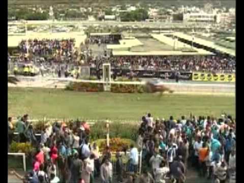 Barbe Cup 2012 - Il Saggiatore