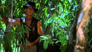Crocodile Dundee II (1988) Video