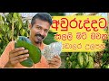 මාසෙට ලක්ෂ දෙකක් දෙන ලංකාවේ පලමු බුලත�