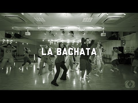 LA BACHATA /  SALSATION ®︎ CHOREOGRAPHY by SMT GRACE & TAMAS