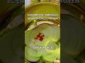 Eucharistic Miracles - Scientifically Proven #shorts #eucharist #jesus
