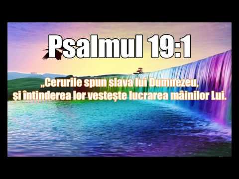 Din tesuturi nevazute Domnul nea creat -  Gabi Bordei