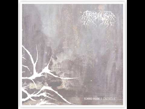 Torrid Husk - Cut With Rain (2014)