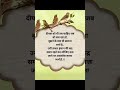 Motivation Motivational Inspiration Inspirational Success Trueline Successmotivation Truewords
