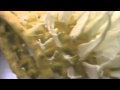 Chex Cereal Commercial
