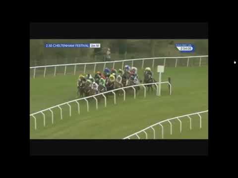 2016 Coral Cup - Cheltenham Festival