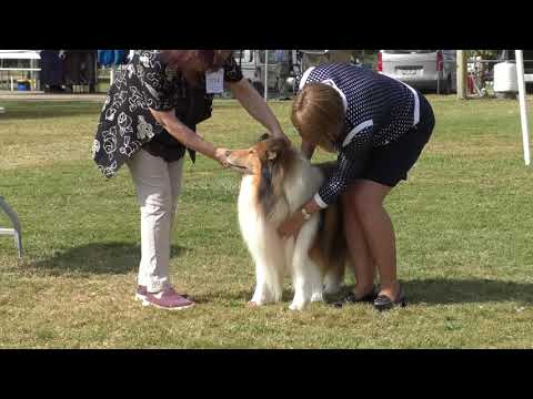 28 July 2019 LKA Champ Show