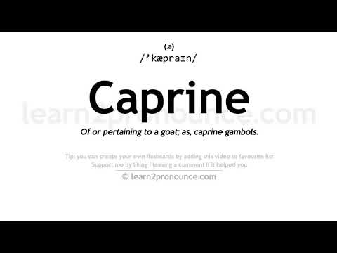 Pronunciation of Caprine | Definition of Caprine