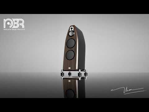 HI RES AUDIOPHILE TEST 24 BIT - SOUND TEST SPEAKER - NATURAL BEAT RECORDS