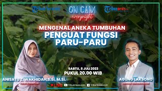 Aneka Tumbuhan Penguat Fungsi Paru-paru: Ada yang Dianggap Parasit hingga Dibuat Mainan Anak Kecil
