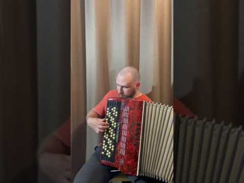 Orpheus 5 Row Chromatic Button Bayan Accordion B-System Kiev Ukraine 1990s 87 Buttons 120 Bass image 24